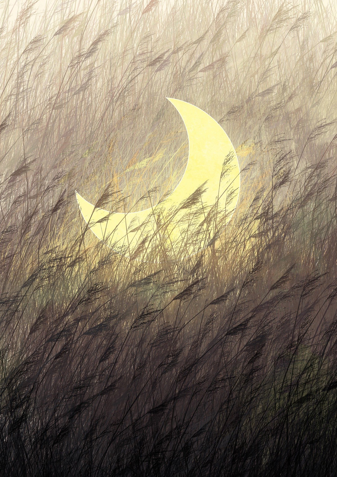 Half moon situated through the view of grass